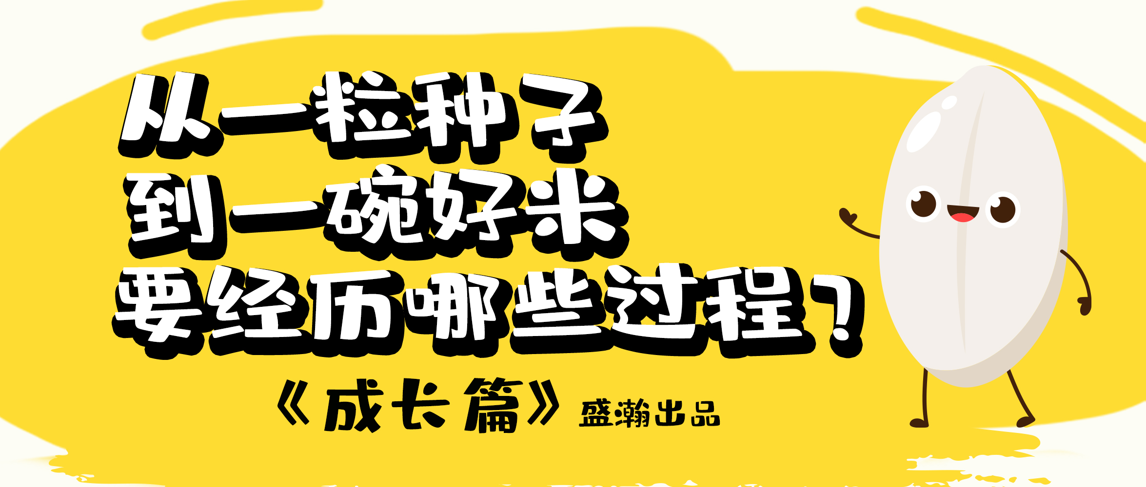 大米的一生-成長篇 | 從一粒種子到一碗好米要經(jīng)歷哪些過程？